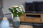 Chalet-12-tv-robbenjager-texel-2024-Hersteld.jpg