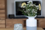 Chalet-20-tv-robbenjager-texel-2024.jpg