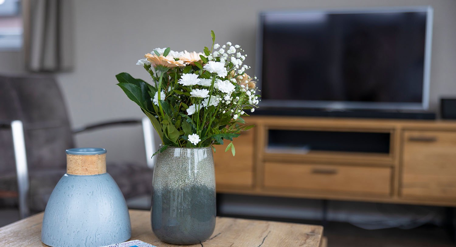Chalet-12-tv-robbenjager-texel-2024-Hersteld.jpg