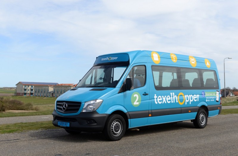 texelhopper.jpg
